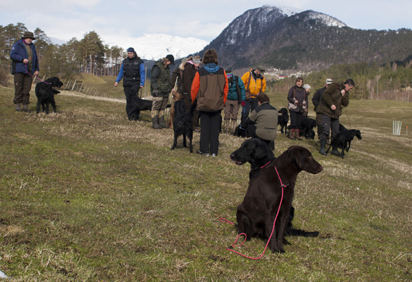 Arwen og Rally i front